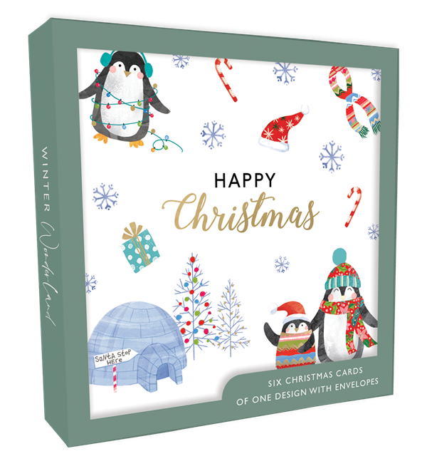 Christmas Boxed Cards(TU XB45)