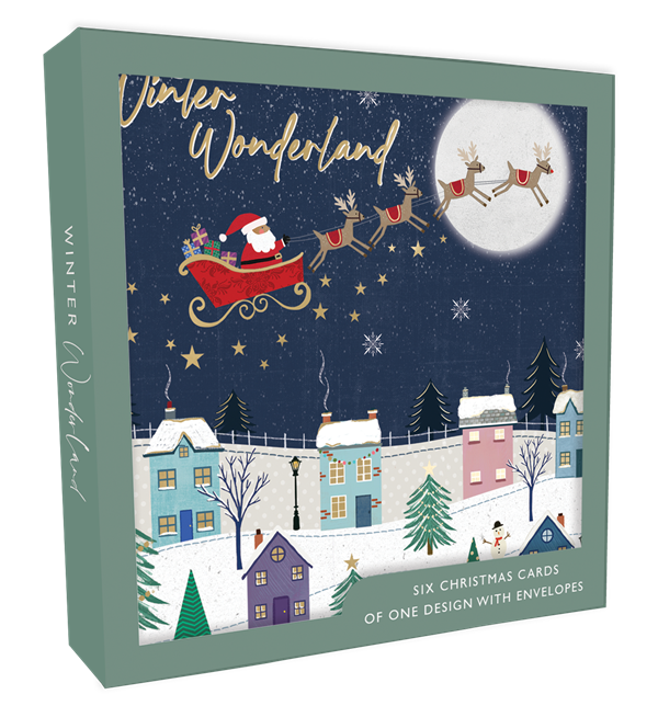 Christmas Boxed Cards(TU XB47)